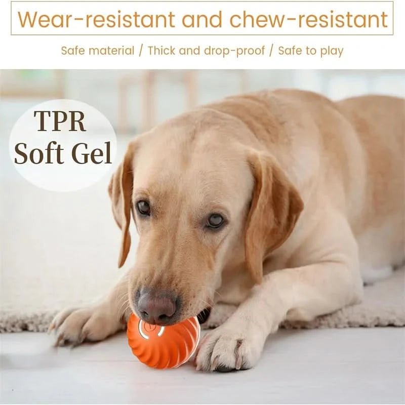 ActivePulse Interactive Self-Propelling Rechargeable Dog Ball — Autonomous Movement and Random Bouncing Action