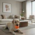 ActivePulse Interactive Self-Propelling Rechargeable Dog Ball — Autonomous Movement and Random Bouncing Action