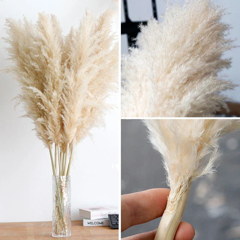 Confezione da 10 steli di erba della Pampa artificiale — canne soffici beige naturale