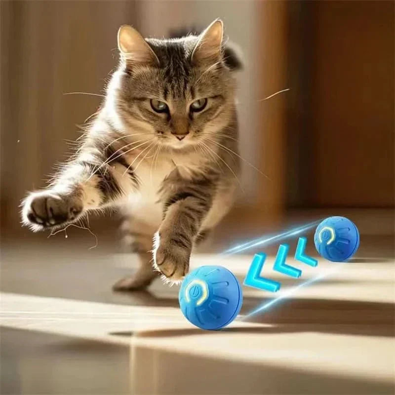 ActivePulse Interactive Self-Propelling Rechargeable Dog Ball — Autonomous Movement and Random Bouncing Action