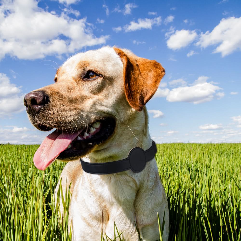 PawShield TrackTag Hundehalsband – Integrierte Halterung für Apple AirTag