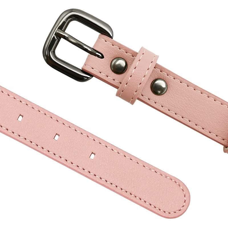 PawShield TrackTag Hundehalsband – Integrierte Halterung für Apple AirTag