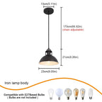 Industrial Pendants