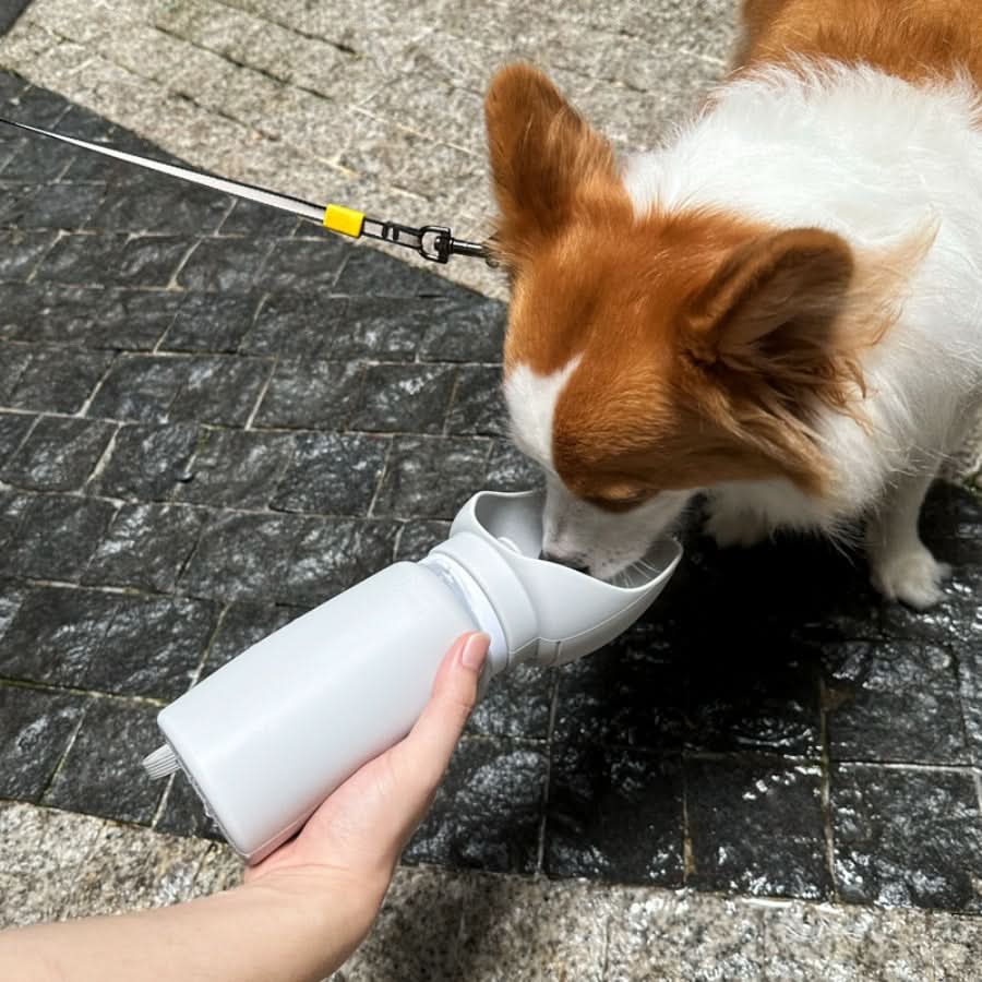 TrailMate skládací láhev na vodu pro domácí mazlíčky s objemem 550 Ml