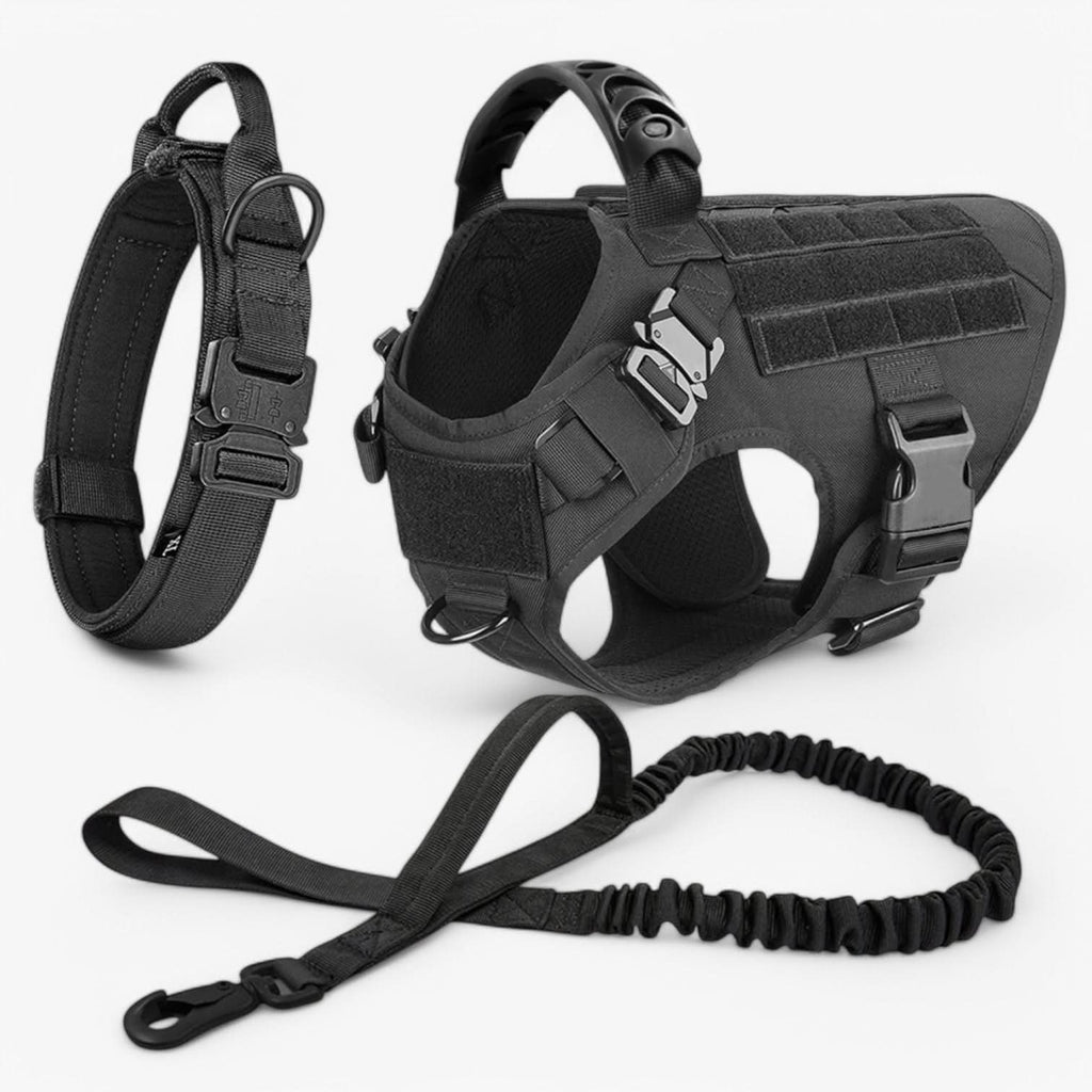 Harnais de dressage pour chien SteadyPaw — Résistance renforcée et ajustement anti-frottement