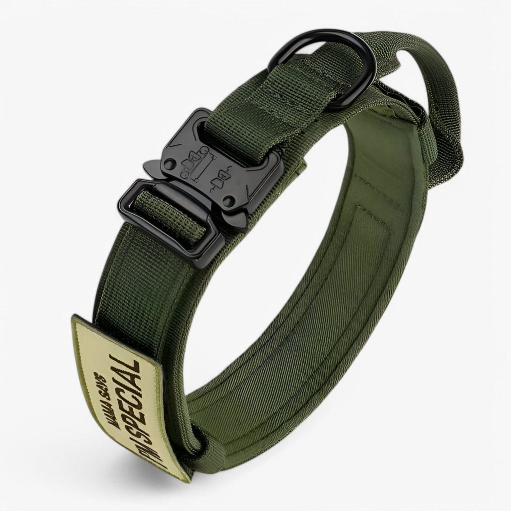 StealthPaw Verstellbares Hundehalsband-Set – Robuste Konstruktion, ganztägiger Tragekomfort