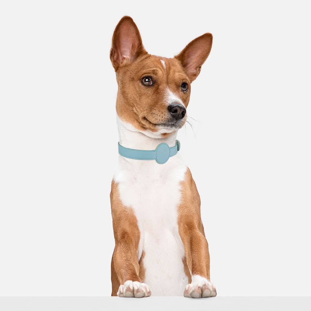 PawShield TrackTag Hundehalsband – Integrierte Halterung für Apple AirTag