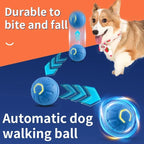 Smart Interactive Pet Toy for Dogs & Cats - Euroselle