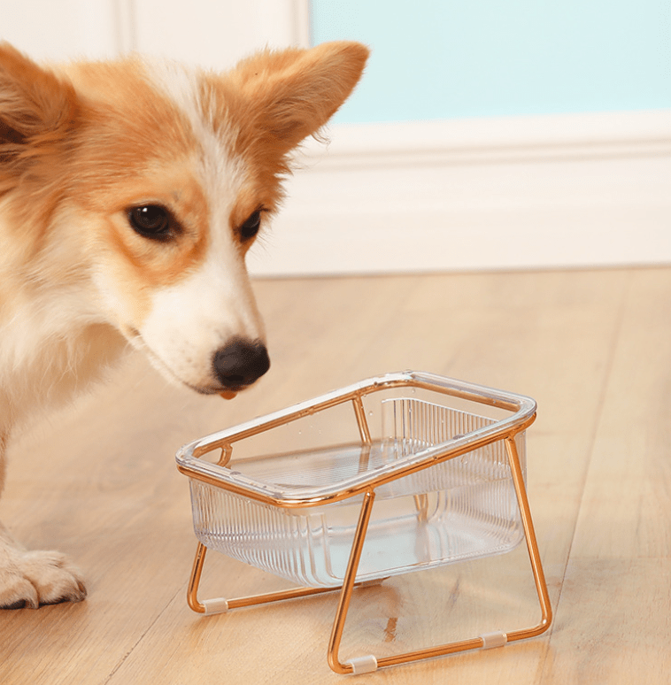 Taça de comida elevada NovaPaw — comedouro elevado para gatos e cães pequenos