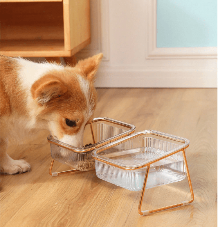 Taça de comida elevada NovaPaw — comedouro elevado para gatos e cães pequenos