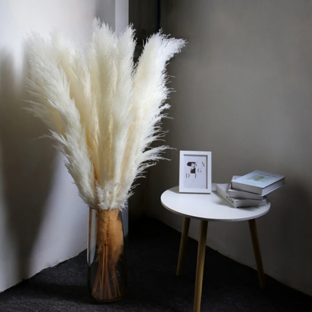 Confezione da 10 steli di erba della Pampa artificiale — canne soffici beige naturale