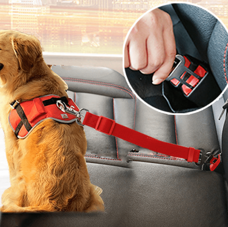 PawGuard Nastavitelný bezpečnostní pás pro psa do auta — spolehlivé zajištění