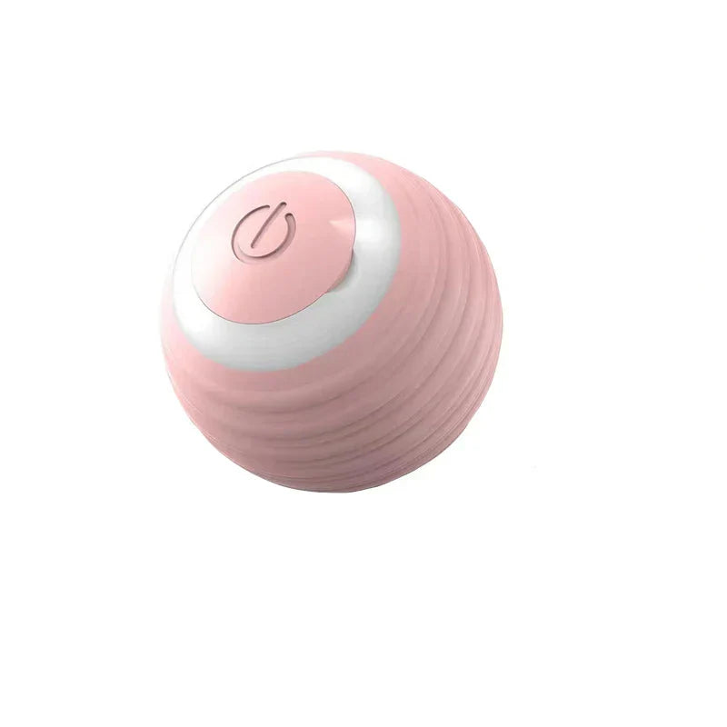 Smart Interactive Pet Toy for Dogs & Cats - Euroselle