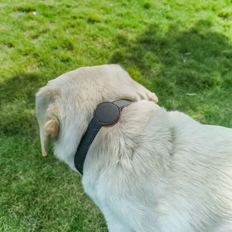 PawShield TrackTag Hundehalsband – Integrierte Halterung für Apple AirTag