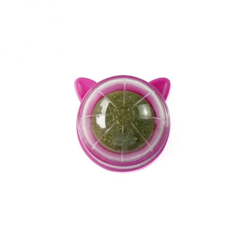 Brinquedo de Erva-gateira WhiskerNova — Saúde dentária e diversão para gatos