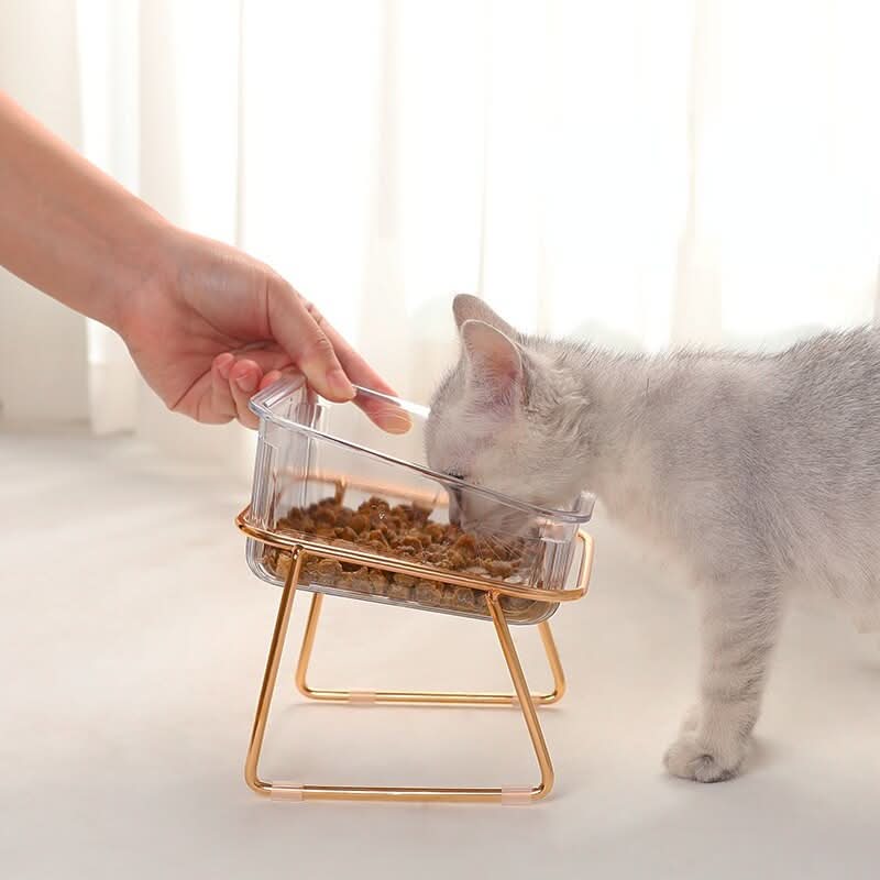 Taça de comida elevada NovaPaw — comedouro elevado para gatos e cães pequenos