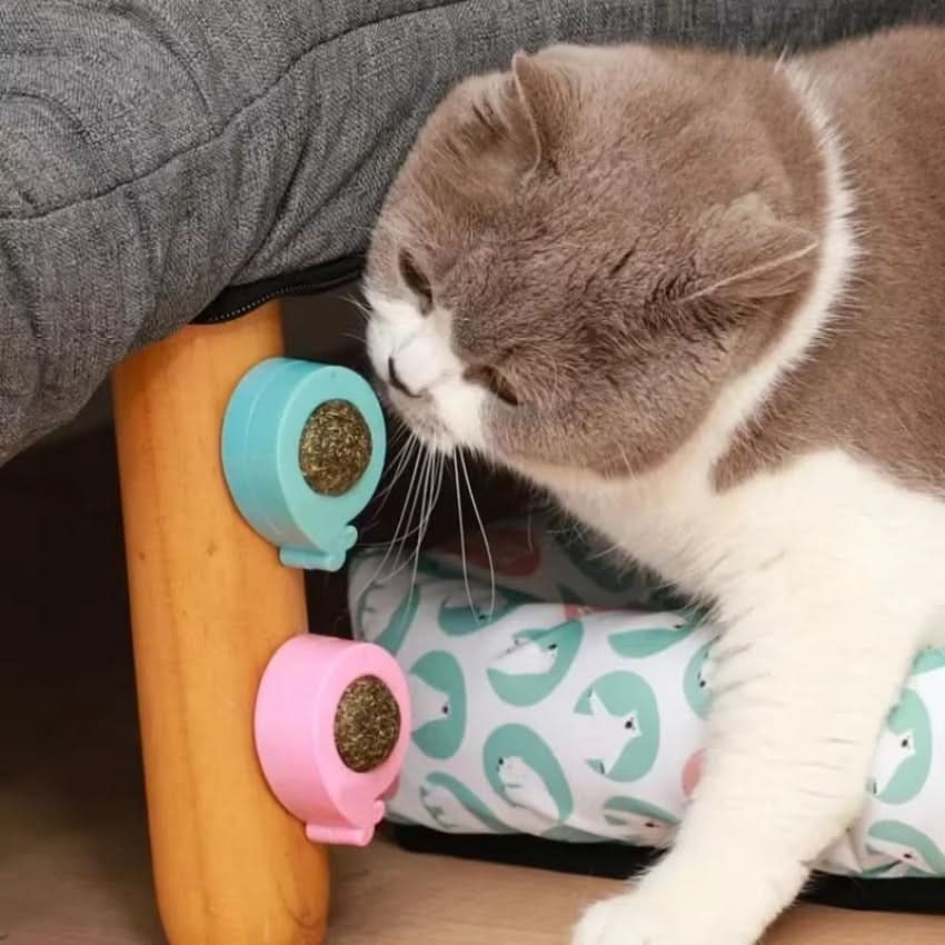 Brinquedo de Erva-gateira WhiskerNova — Saúde dentária e diversão para gatos