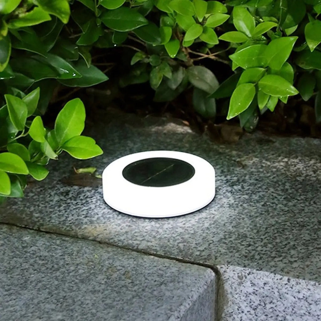Solar Garden Lights - Elegant Solar Outdoor Illumination for Your Garden | Euroselle