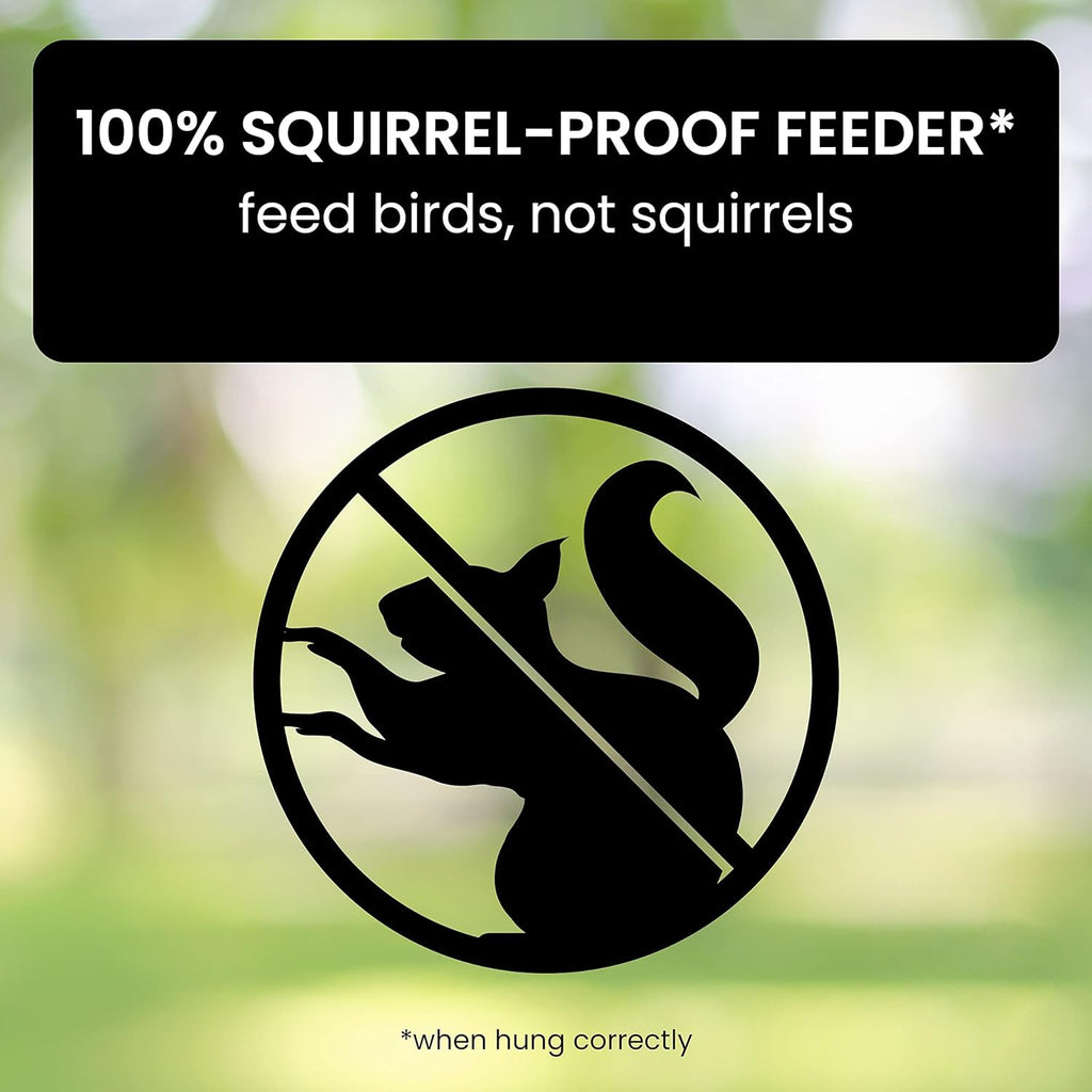 Squirrel-Proof Bird Feeder for Hassle-Free Backyard Birdwatching - Euroselle