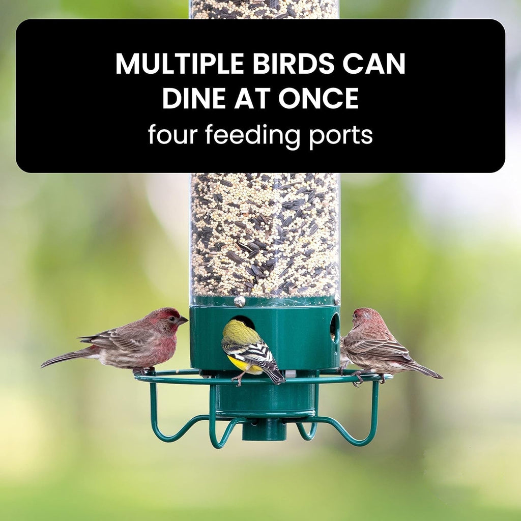 Squirrel-Proof Bird Feeder for Hassle-Free Backyard Birdwatching - Euroselle