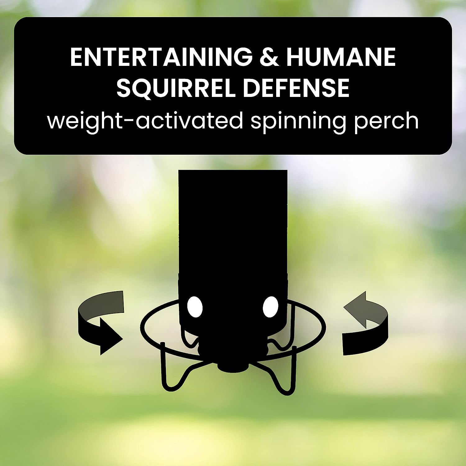 Squirrel-Proof Bird Feeder for Hassle-Free Backyard Birdwatching - Euroselle