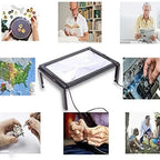 Foldable 3x Table Magnifier with LED Lighting for Hands-Free Reading - Euroselle