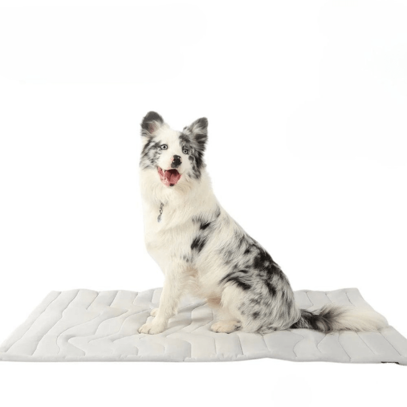 Tappetino autorinfrescante per cani CoolPaws — refrigerio immediato senza ghiaccio né elettricità, attivato dal corpo