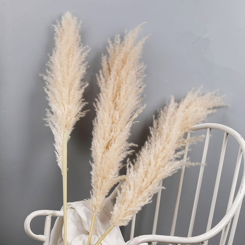 Confezione da 10 steli di erba della Pampa artificiale — canne soffici beige naturale