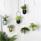Minimal Wall Planter Hanger Modern Interior Style - Euroselle