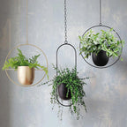 Minimal Wall Planter Hanger Modern Interior Style - Euroselle