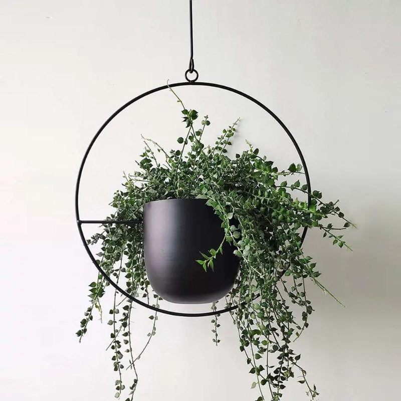 Minimal Wall Planter Hanger Modern Interior Style - Euroselle