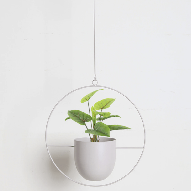 Minimal Wall Planter Hanger Modern Interior Style - Euroselle