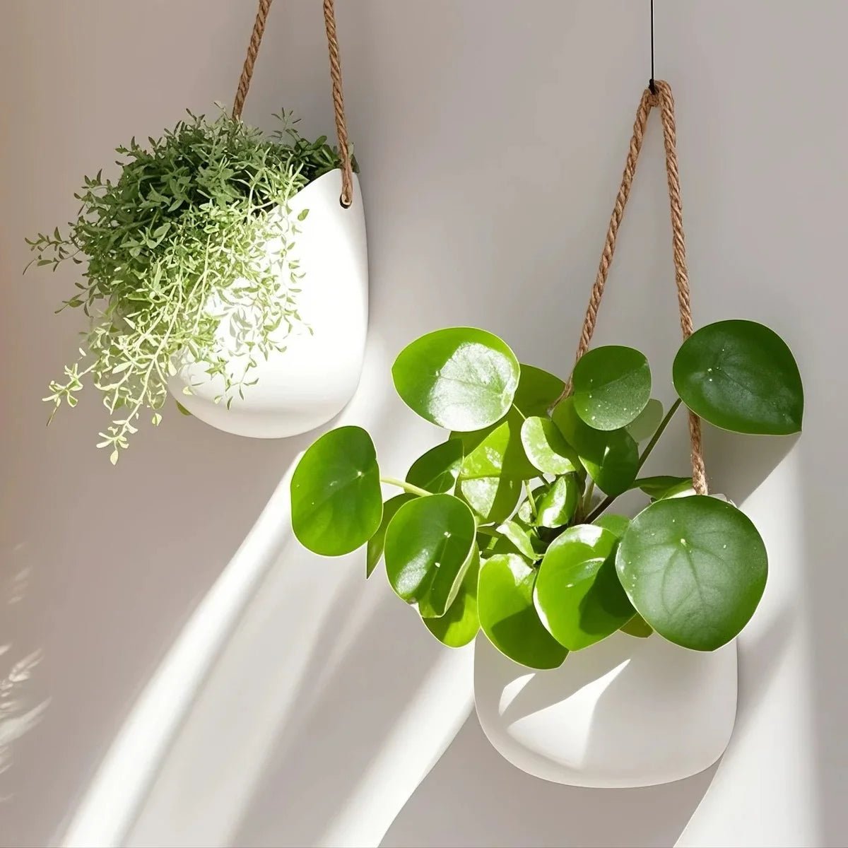 VerdantWall vægmonteret planteholder — hvid finish, slank profil