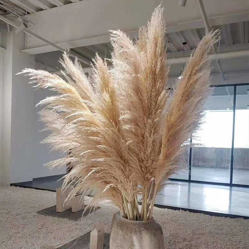 Confezione da 10 steli di erba della Pampa artificiale — canne soffici beige naturale