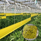 Sticky Outdoor Insect Barrier Tape - Euroselle