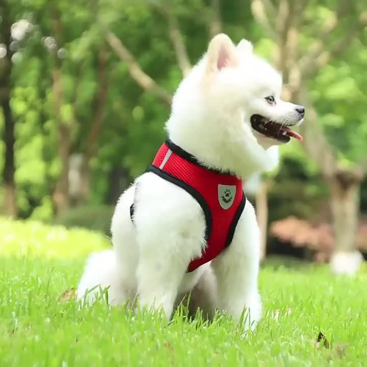 Reflective Pet Vest with Leash for Dogs and Cats - Euroselle