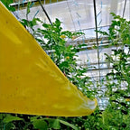 Sticky Outdoor Insect Barrier Tape - Euroselle