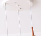 Amelia Pendant Lamps Collection