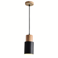 Colorful Nordic Wooden Base Pendant Light