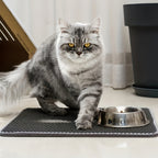 Honigwaben-Wasserdichte Katzenstreu-Matte mit Geruchskontrolle & waschbar - Euroselle