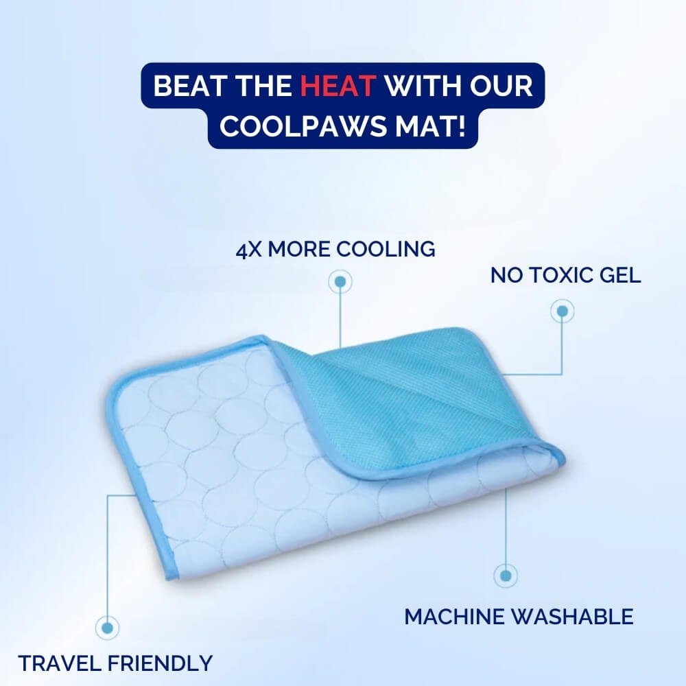 CoolPaws • Tapete refrescante para cães | Euroselle