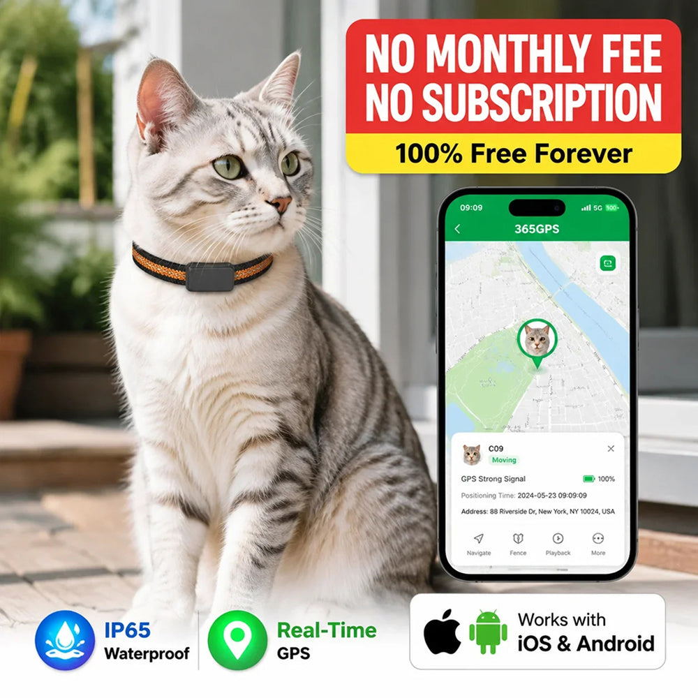 Cat Collar GPS Location Monitor — Geofence Alerts & Route History