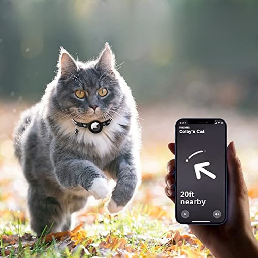带反光设计的猫咪 GPS 项圈 | Euroselle
