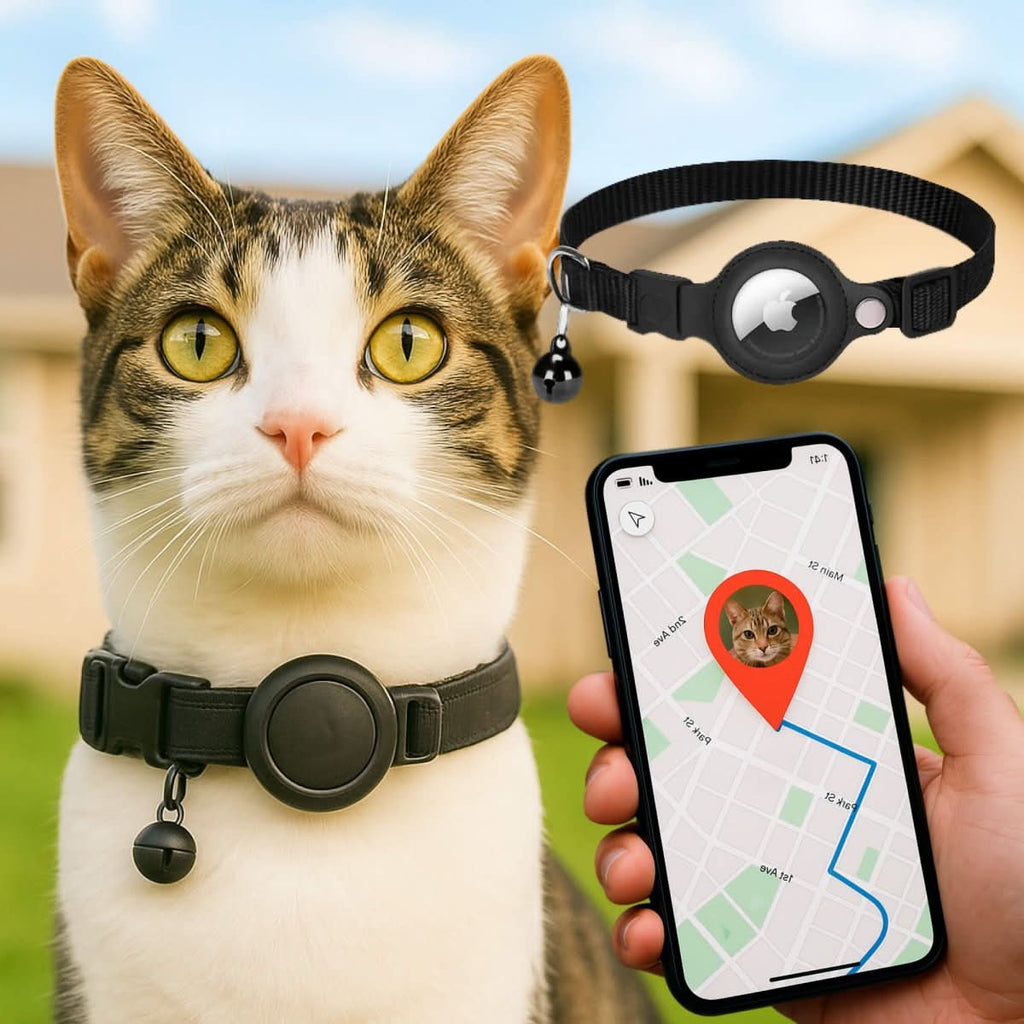 带反光设计的猫咪 GPS 项圈 | Euroselle