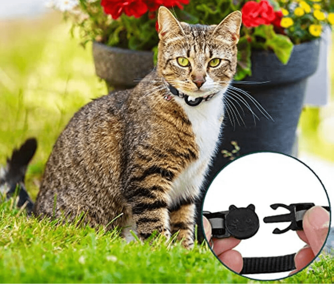 带反光设计的猫咪 GPS 项圈 | Euroselle