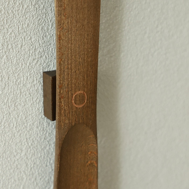 Magnetiskt skohorn med långt handtag | Euroselle