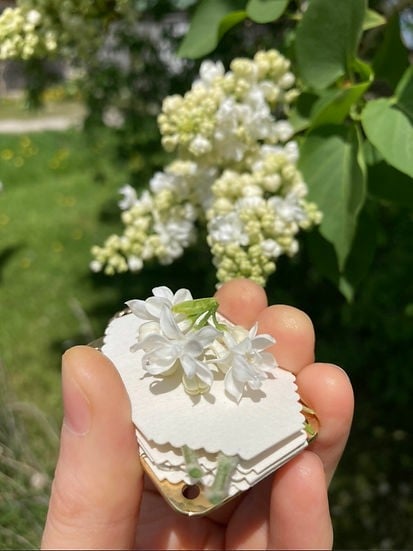 Mini-presse à fleurs | Créateur compact de souvenirs botaniques | Outil de loisirs créatifs portable | Euroselle
