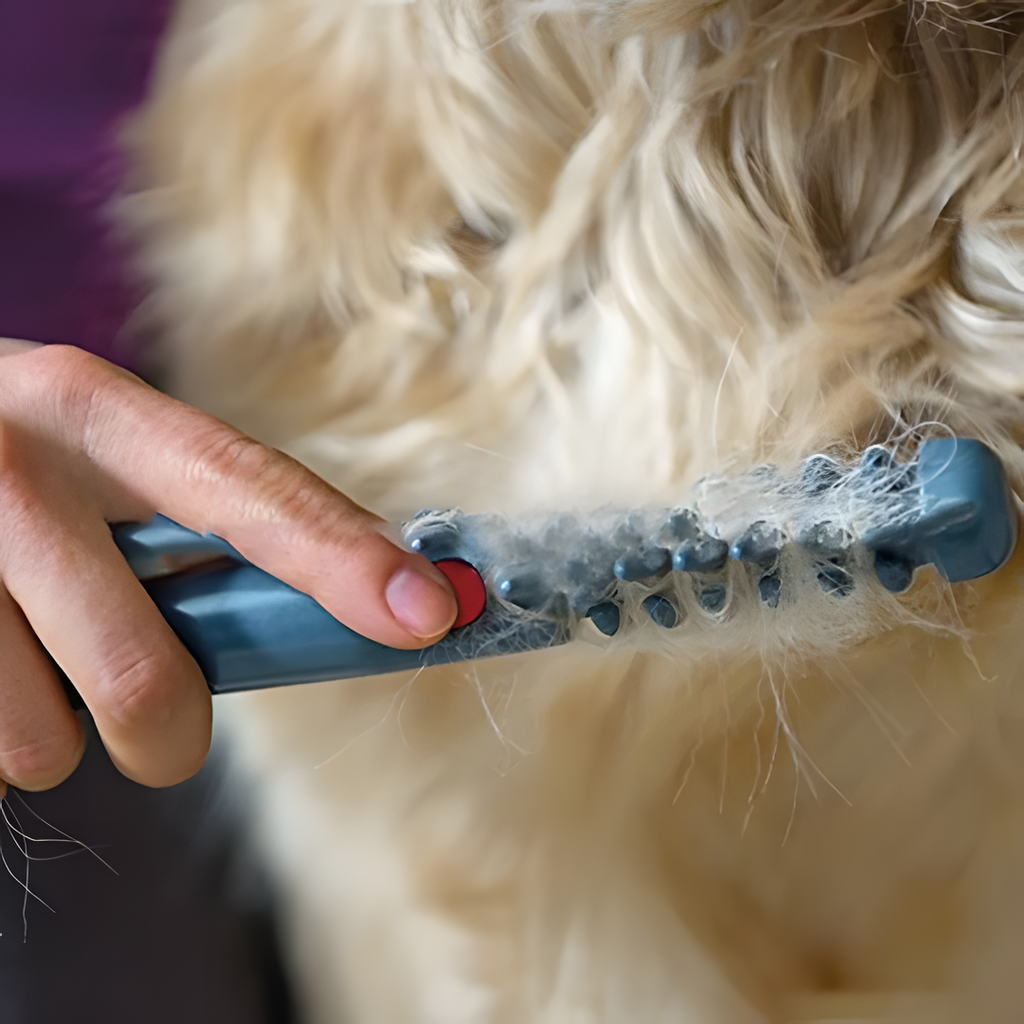 Peine para mascotas sin nudos ni enredos | Euroselle