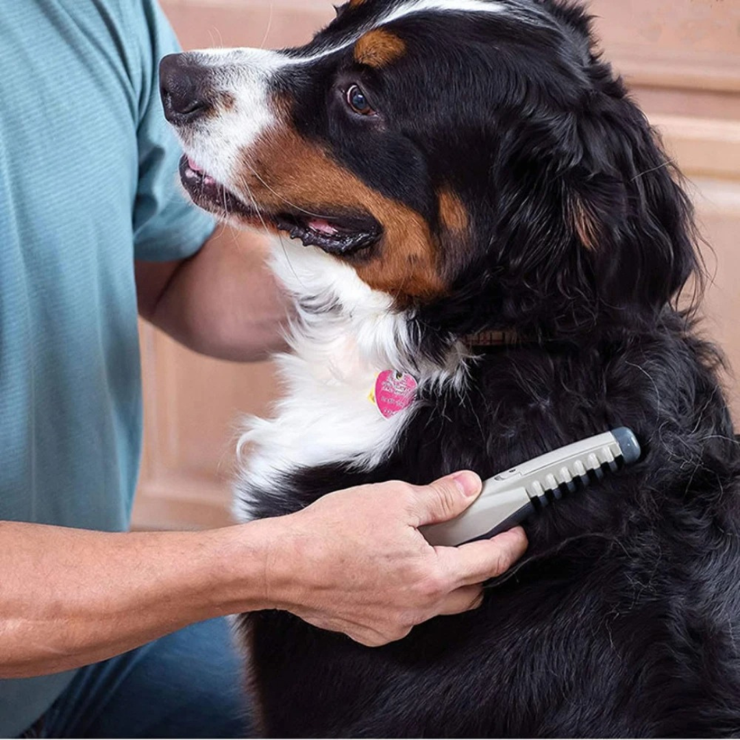 Peine para mascotas sin nudos ni enredos | Euroselle