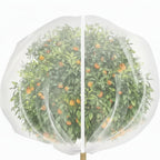 Drawstring Fruit Tree Mesh Net Bags - Euroselle